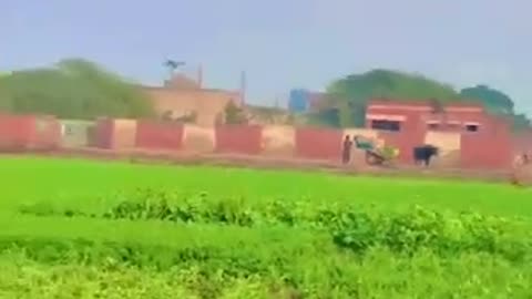 Farming and village vides of Pakistan