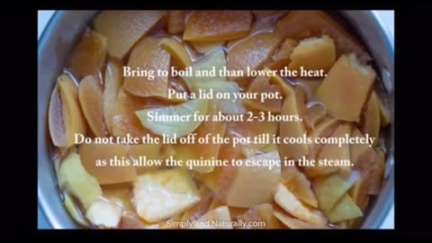 Homemade DIY Hydroxychloroquine for a strong, healthy system 💪🏻