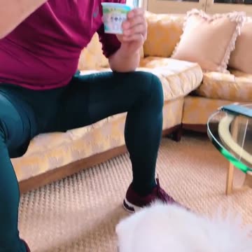 20191012文贵先生视频²：与战友们分SNOW吃酸奶的片刻… …一切都是刚刚开始！