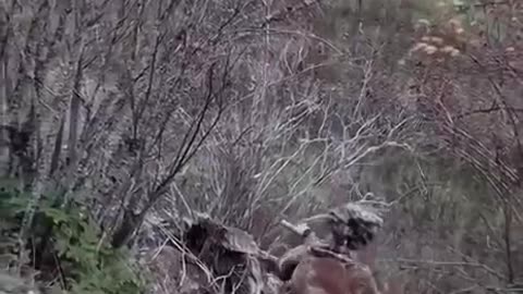 Ukrainian battle footage!