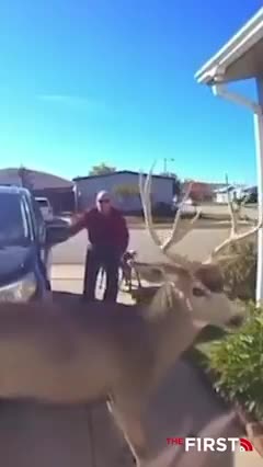 🤣🤣🤣 Another Example Why Women Can't And Shouldn't Be Rulers Of The Planet