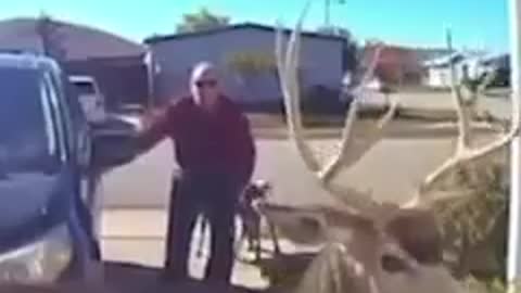 🤣🤣🤣 Another Example Why Women Can't And Shouldn't Be Rulers Of The Planet