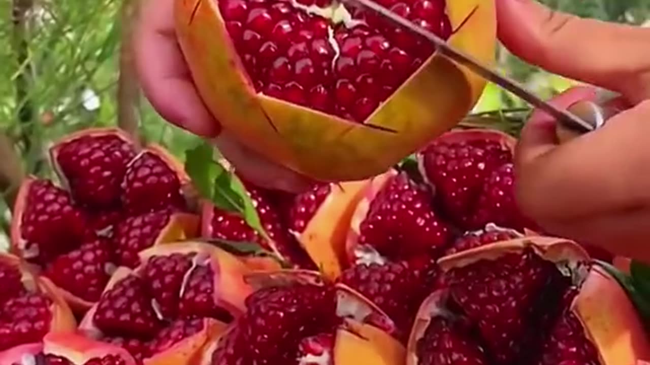 Fruits Cutting 10 🥭🍉🍓🍒🍌🥝🥝🍇🍍#shorts #shortsfeed #ytshorts #youtubeshorts #fruits #shortsvideo