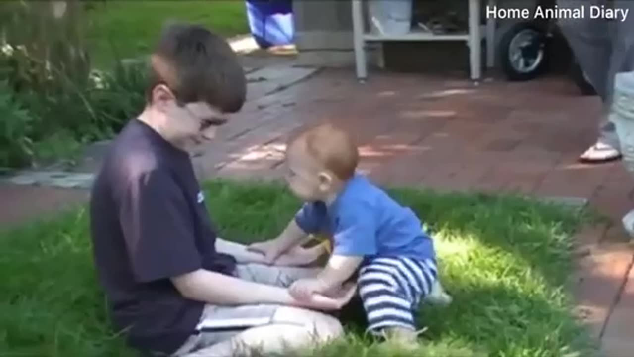 Animals playing with children is very fun πΆπ
πΆπ»