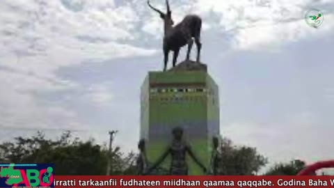 Oduu Waaree ONM-ABO Adoolessa 14, 2023
