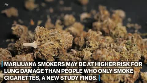 Marijuana smokers could be at more risk for emphysema than cigarette smokers_ Study