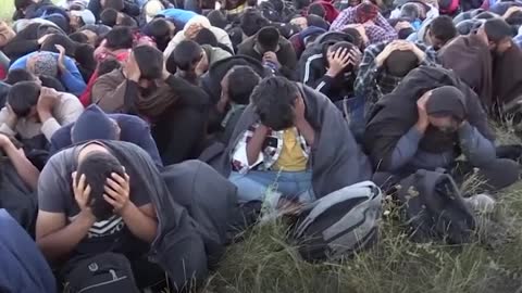 Migrant crisis at Hungarian-Serbian border