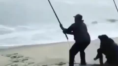 This is a beautiful and charming water-dwelling species