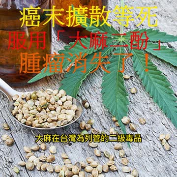 癌末擴散等死 服用「大麻二酚」 腫瘤消失了！