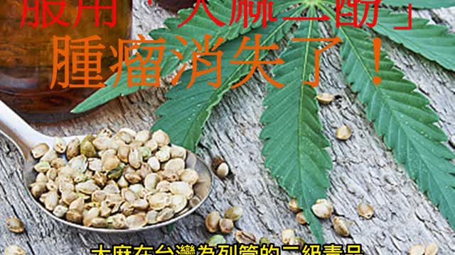 癌末擴散等死 服用「大麻二酚」 腫瘤消失了！