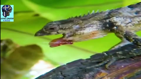 ΜΠΟΡΕΙΣ να #ΠΑΡΕΙΣ το ''#ΜΗΝΥΜΑ''👆❓❓❓