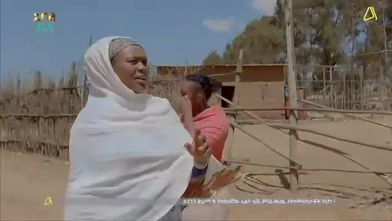 አደይ ምዕራፍ 04 ክፍል 37 ( ክፍል 232 )
