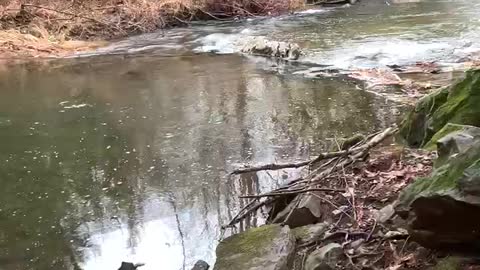 GET YOUR TUBE!!!