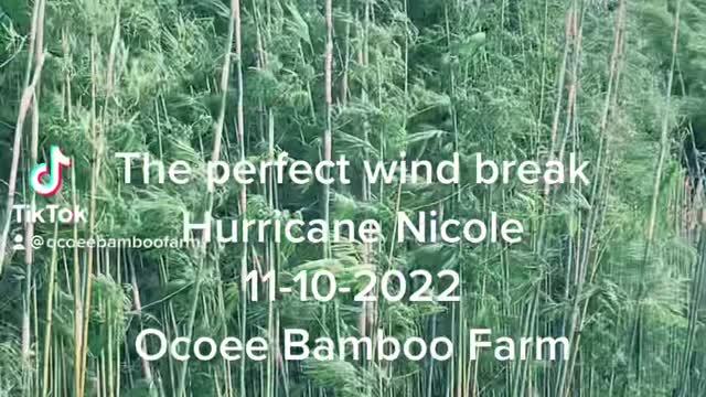 Hurricane Nicole 11-10-2022