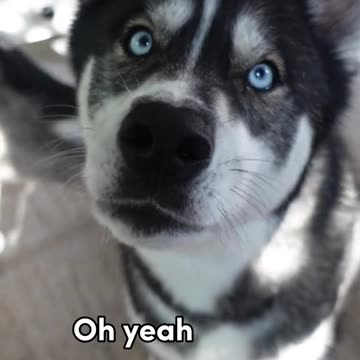 ‼️Titan has something important to say this morning‼️