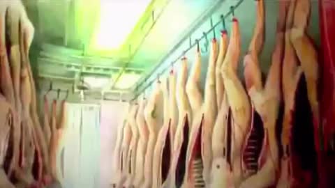 Soylent Green is Mcdonald's