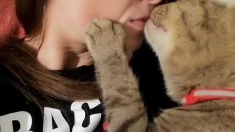 Noti cat kiss