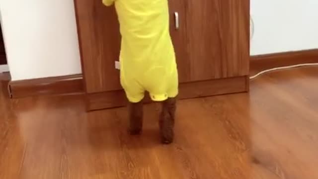 que é o destino do homem que AMA, MAS o que é que, embora as SUAS coisas.