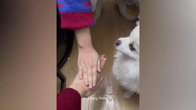 Funny Moments of the Week: Cute People and Animals Doing Hilarious Things