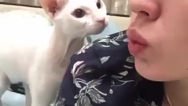 CaT LoVe You hhhh