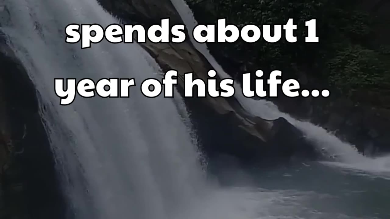 The average man spends about 1 year of his life... #shorts #psychologyfacts #subscribe