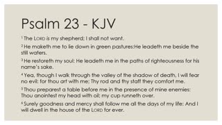 Daily Devotion Psalm 23