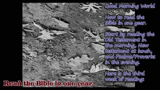 Message from Rev. Ernie: Let's read the Bible in one year! Week 3 List