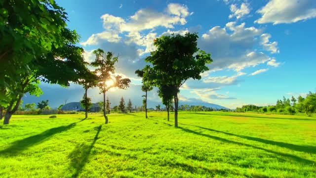 To be a person who is slowly blooming in time, who has seen the sharp