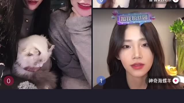 Live Night & Shiye