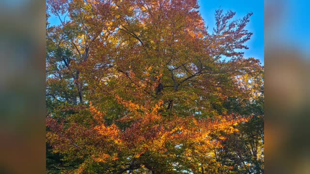 October In Pictures