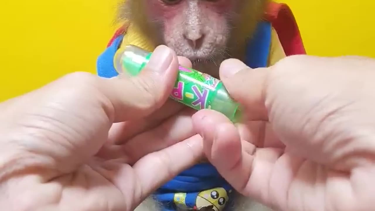 "Monkey's Verdict: Exploring Green Lipstick Candy"