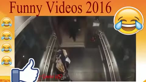 americans funny videos