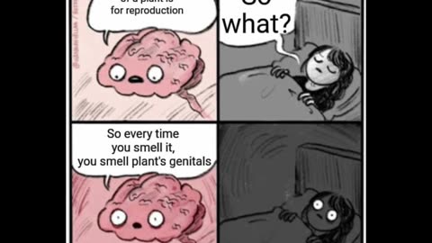 Random Memes 865