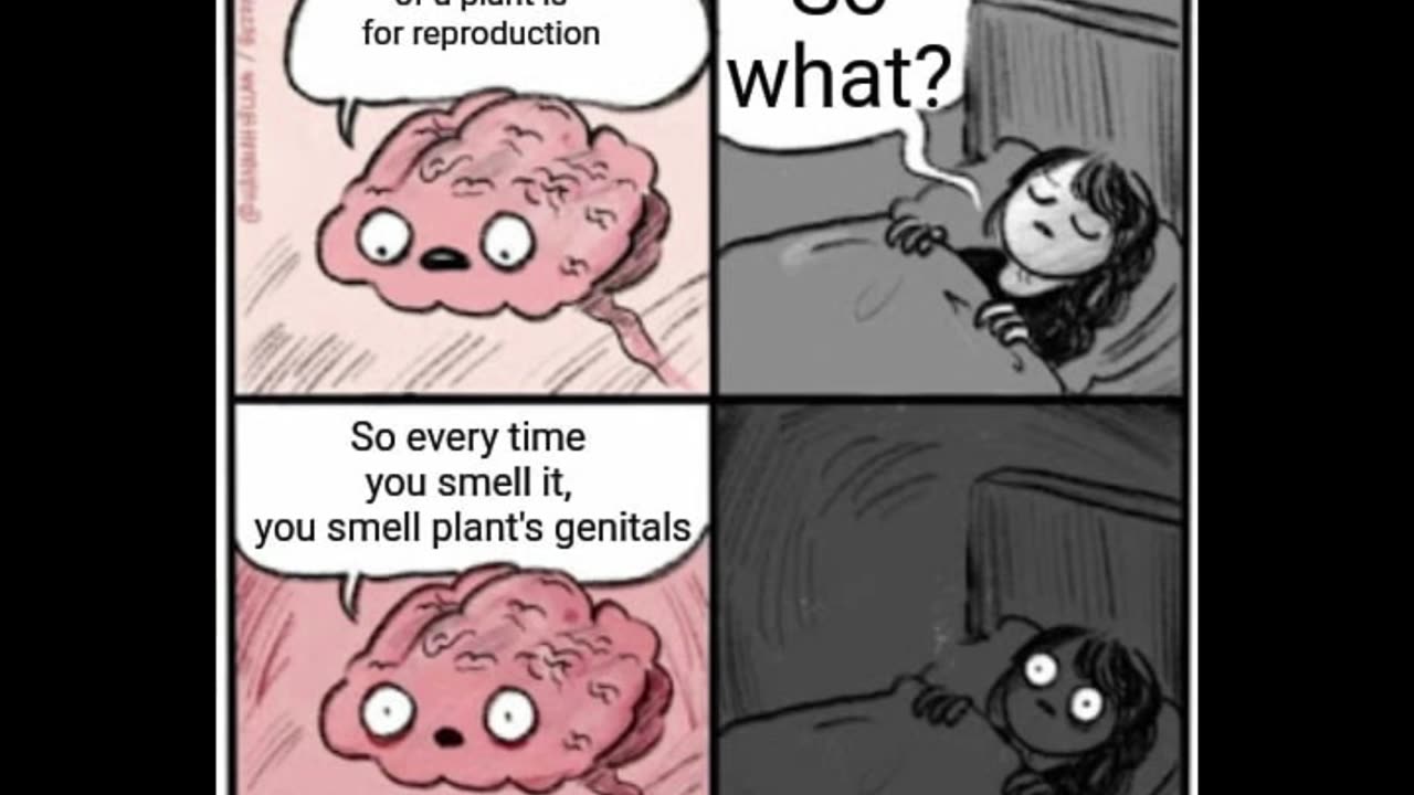 Random Memes 865