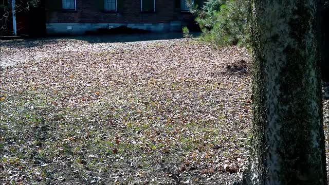 Haunted Mansion Civil-War Era Hannah House/Underground Railroad Built 1858 Indianapolis