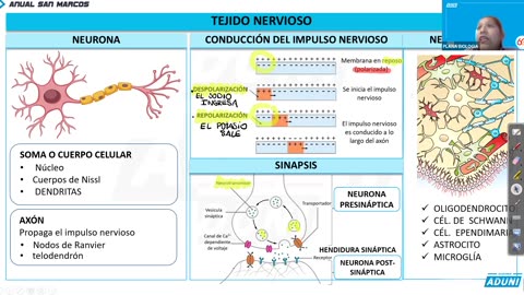 ANUAL ADUNI 2023 | REFORZAMIENTO 08 | BIOLOGÍA TEORÍA