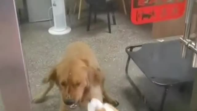 “If only they wouldn’t look at me so!