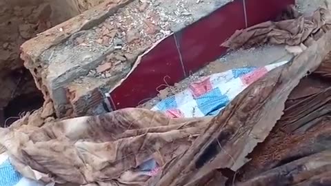 Found Mummy