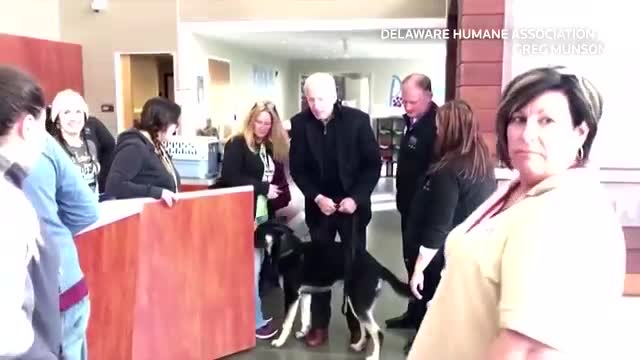 President Joe Biden is sad by death!!