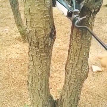 So the family started talking politics at Thanksgiving dinner so I...