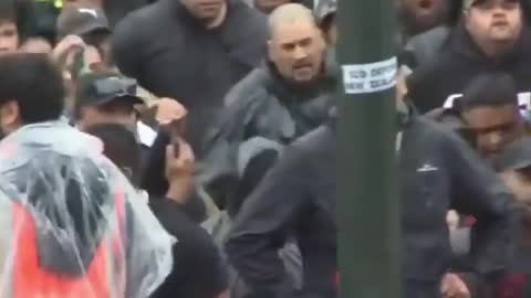 The Kiwis ain't having it !