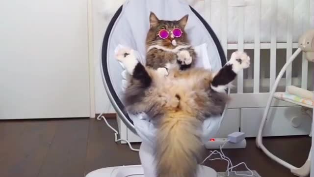 This is the life a boss should enjoy