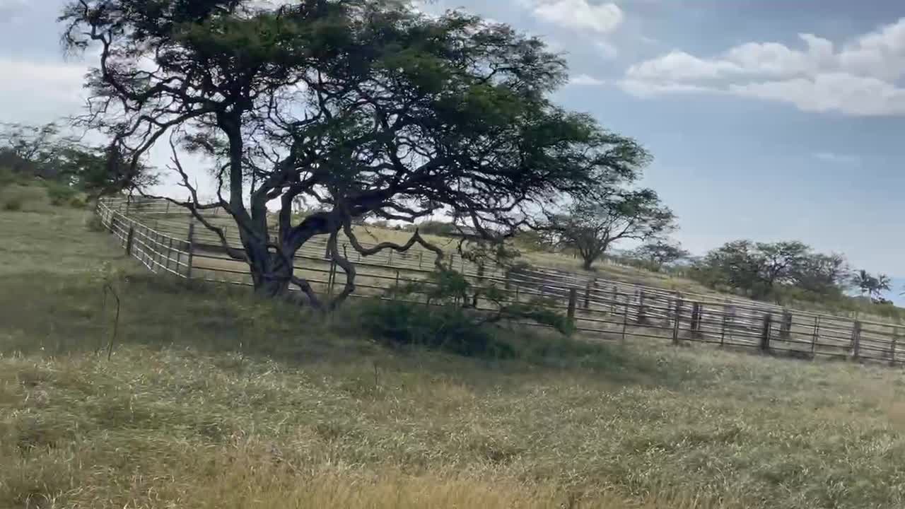 PUAKEA BAY RANCH- HORSE EASEMENT TO BACK OF PROPERTY