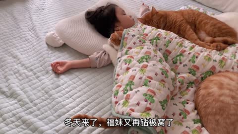 The cat that sleeps with the baby