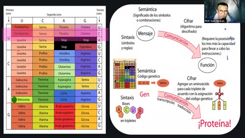 PAMER SEMESTRAL ESCOLAR 2022 | Semana 18 | Biología