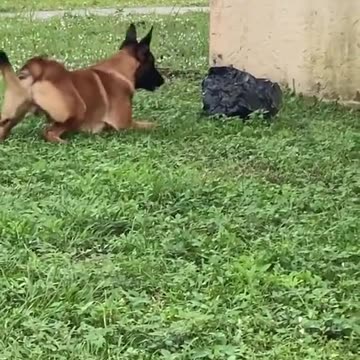 Har Roz Naya drama very funny