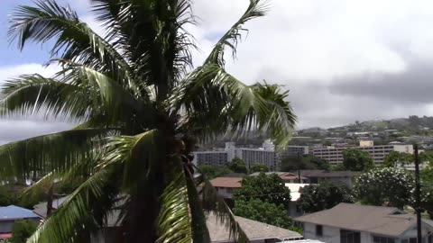 Driving Around Waikiki Hawaii Sunny day Landscape Creative Commons Stock Footage