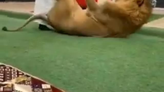 Comedy video scenes 😂😂😛😛