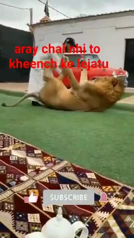 Comedy video scenes 😂😂😛😛