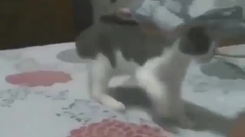Haaaaahaa